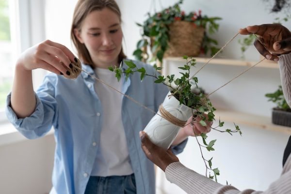 Terrarium and Succulent Design